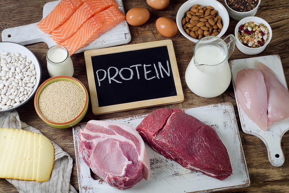 پروتئین برای عضله‌سازی