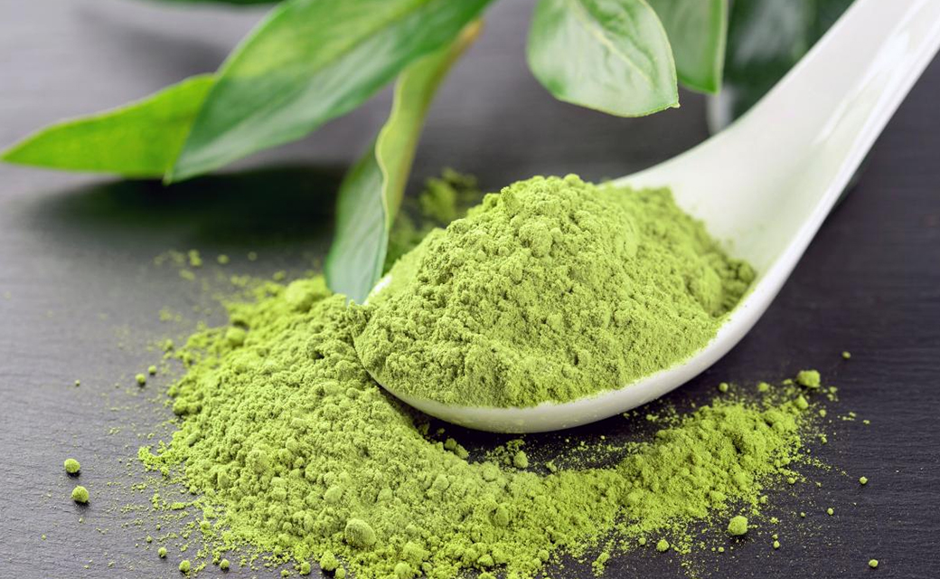 راهنمای جامع خرید پودر ماچا اصل؛ از کجا ماچا تهیه کنیم؟